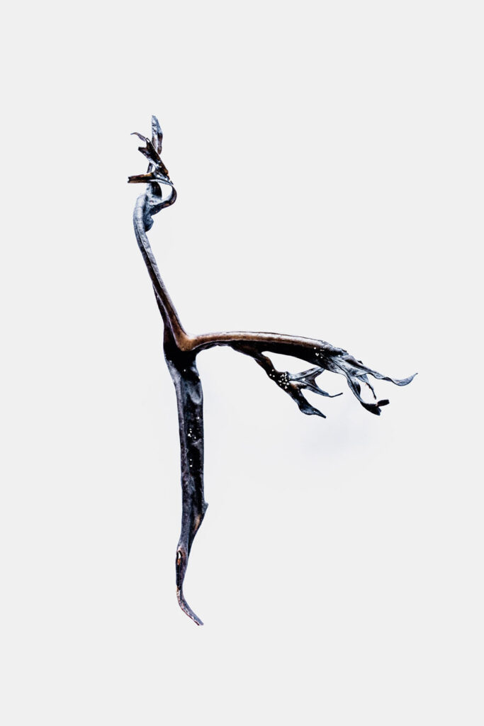 Sirène organique ou totem de la mer.