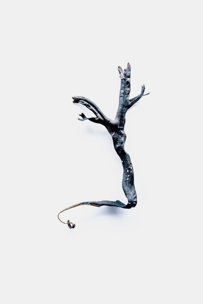 Sirène organique ou totem de la mer.