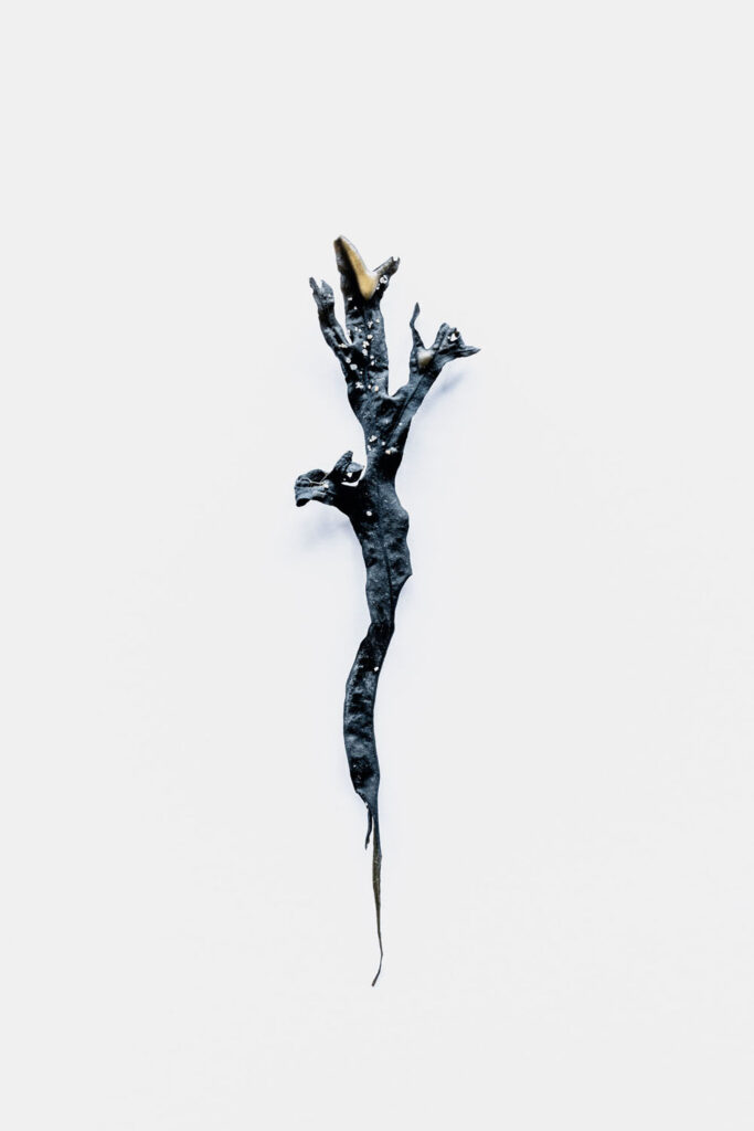 Sirène organique ou totem de la mer.