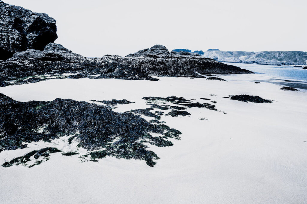 Balade sur les plages de Belle île en Mer.
