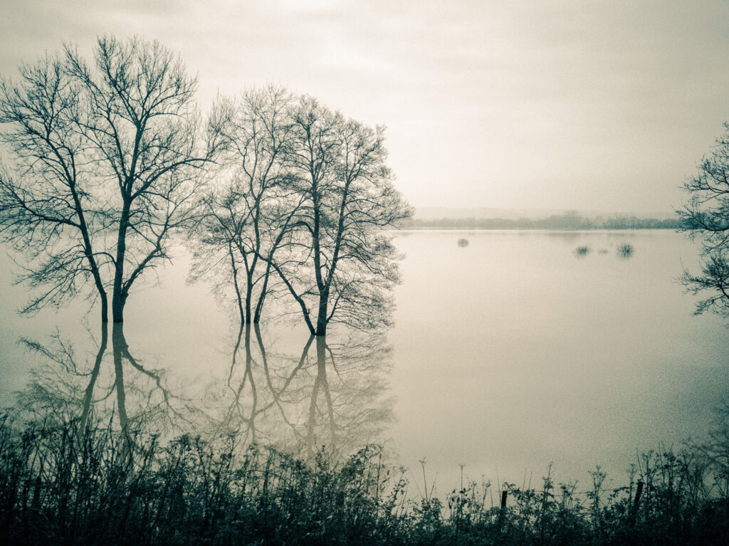 Parcours photographique sur des inondations entre Bayonne et Dax. Magie des reflets et l'atmosphère.