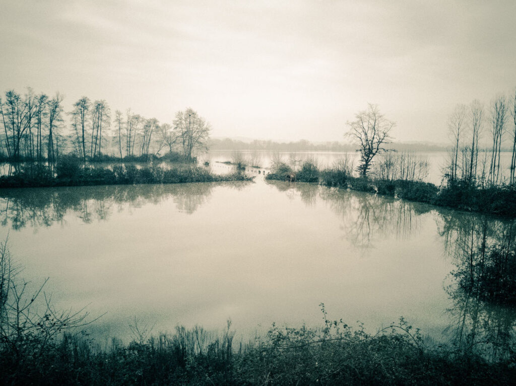 Parcours photographique sur des inondations entre Bayonne et Dax. Magie des reflets et l'atmosphère.