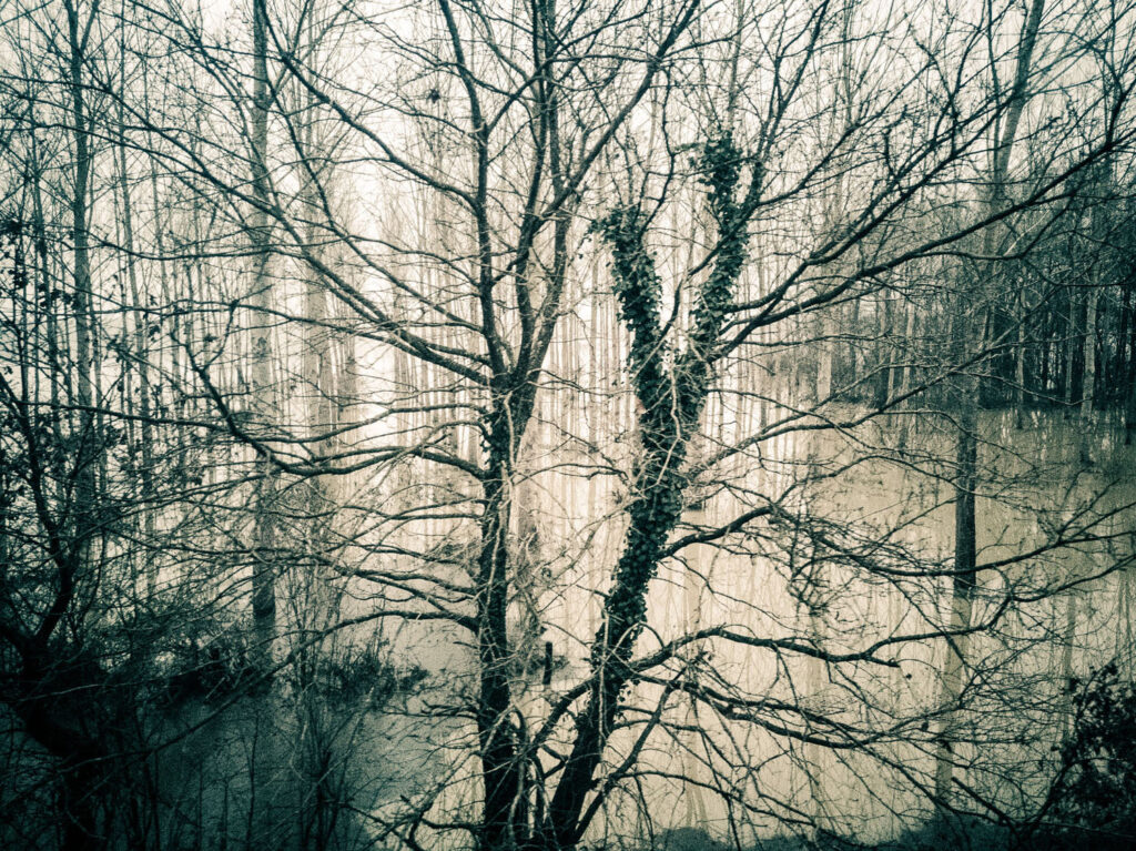 Parcours photographique sur des inondations entre Bayonne et Dax. Magie des reflets et l'atmosphère.