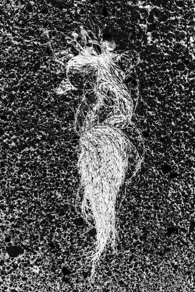 Algues hypnotiques sur la plage de Villa Garcia de Aroussa