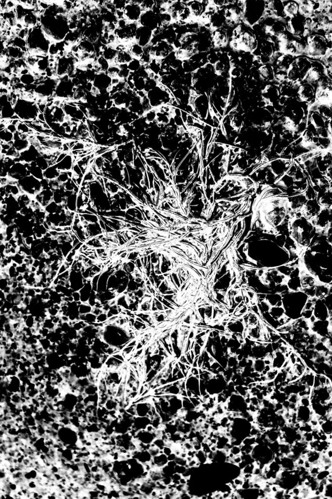 Algues hypnotiques sur la plage de Villa Garcia de Aroussa