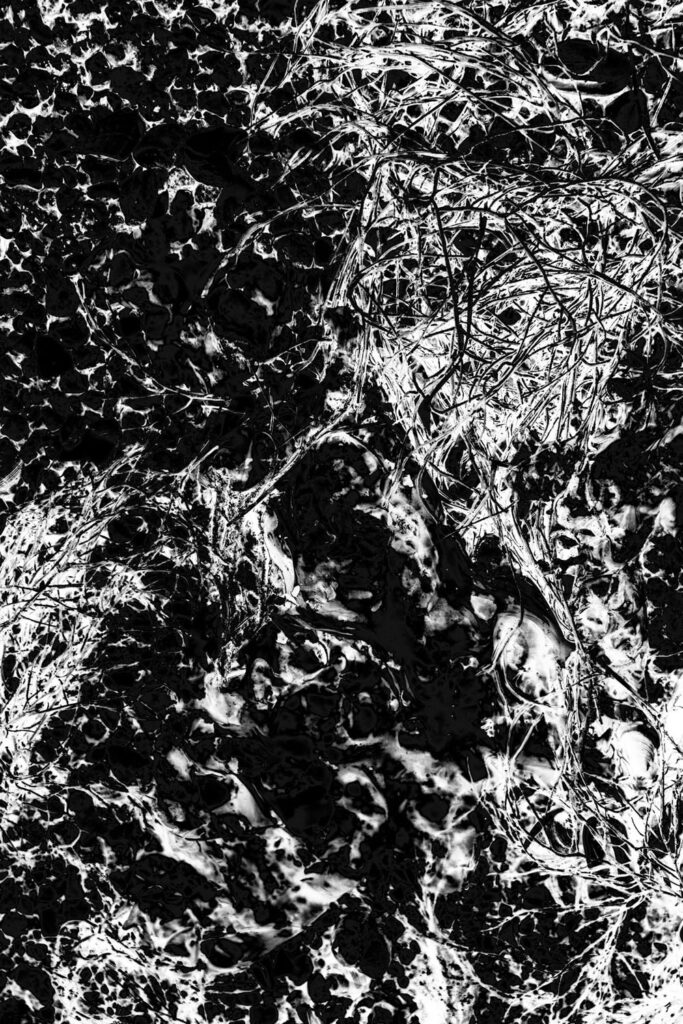 Algues hypnotiques sur la plage de Villa Garcia de Aroussa